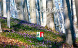 Gmina Jodlowa